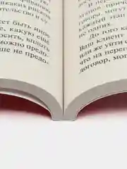 Руководство по выживанию для начинающего юриста. НЕ теоретические советы