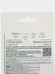 Семена цветов Астра китайская Хризантелла "Коралл" Биотехника