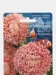 Семена цветов Астра китайская Хризантелла "Коралл" Биотехника