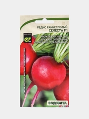 Семена Редис "Селеста F1" Enza Zaden/Садовита 0,5гр