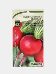 Семена Редис "Селеста F1" Enza Zaden/Садовита 0,5гр