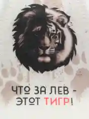 Подарок на Новый год, шапка банная для мужчины "Что за лев этот тигр"