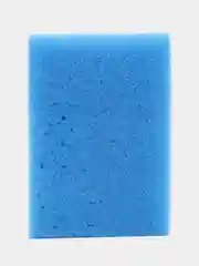 Мой домовой Губка