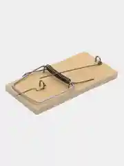 Мышеловка в ассортименте
