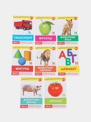 Карточки Домана 8 развивающих брошюр, 145 изображений, ЮНЛАНДИЯ, 691022