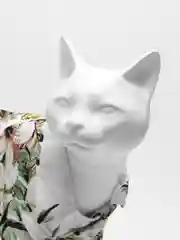 Белый рубашка гавайская для собак и кошек