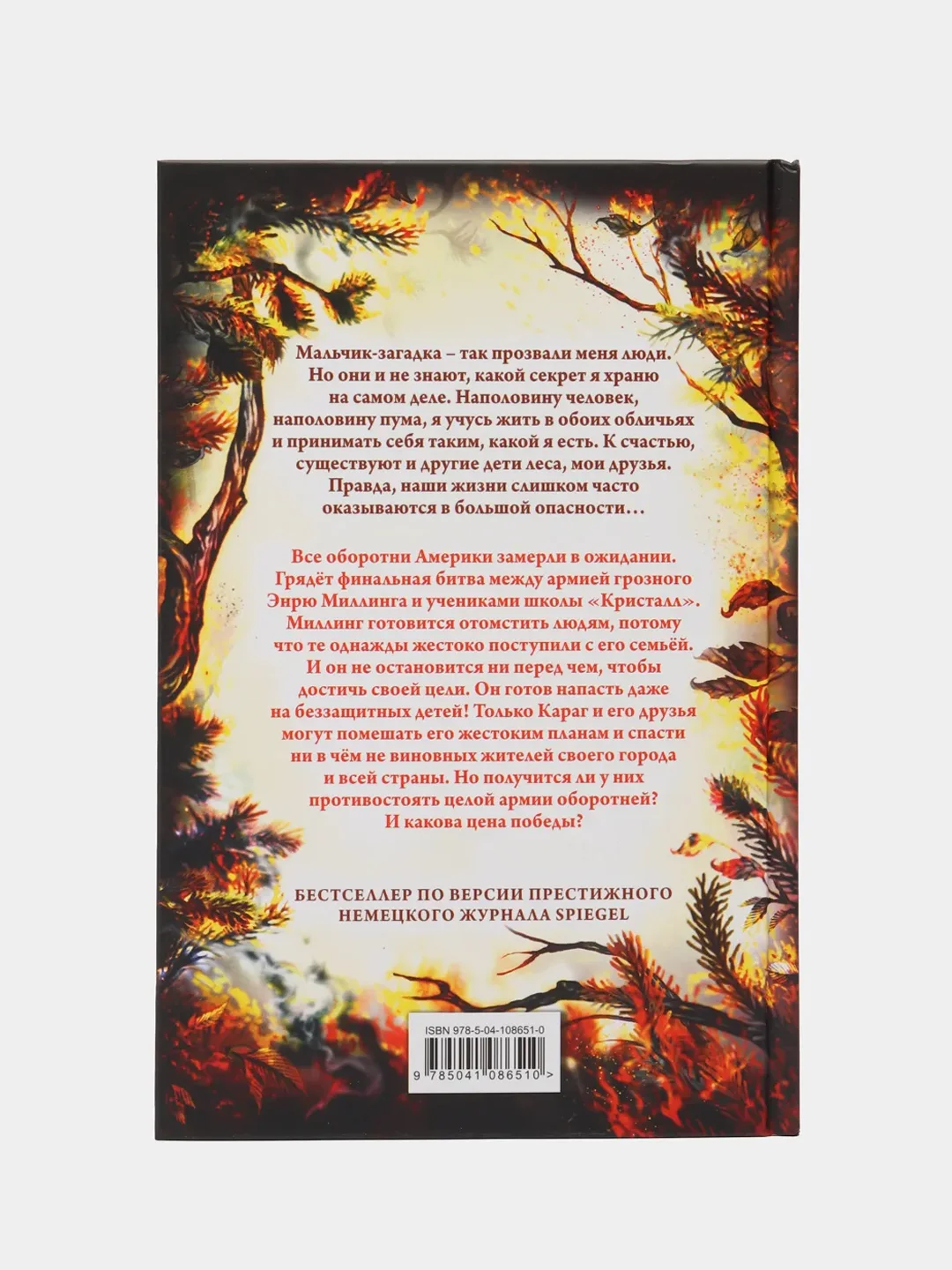 День огня (#6), Катя Брандис