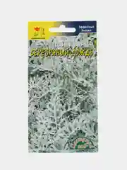 Цинерария Серебряный Дождь (семена,цветы)