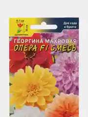 Георгина Опера F1 Смесь махровая (семена,цветы)