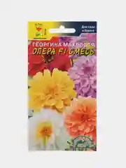 Георгина Опера F1 Смесь махровая (семена,цветы)