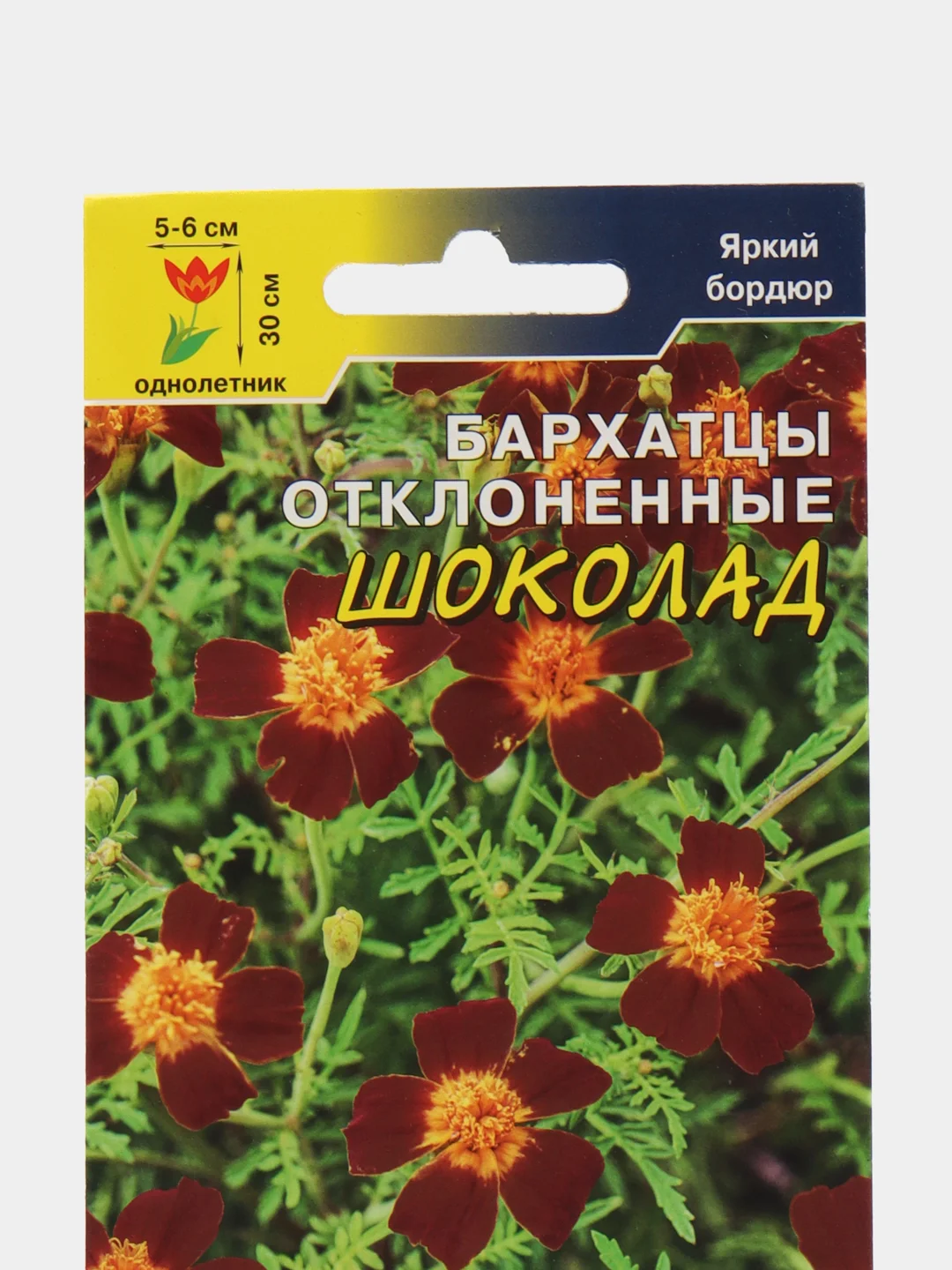 Бархатцы Шоколад (семена,цветы)