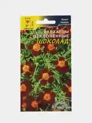 Бархатцы Шоколад (семена,цветы)