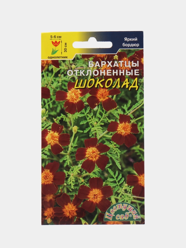 Бархатцы Шоколад (семена,цветы)