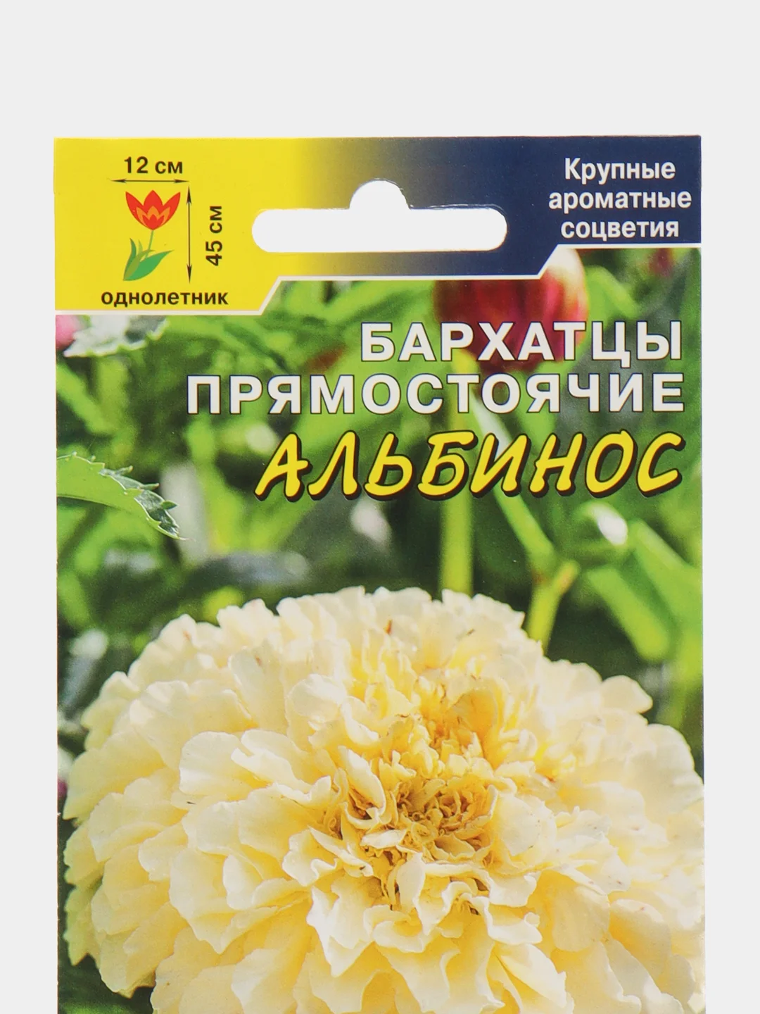 Бархатцы Альбинос белые,крупные,махр (семена,цветы)