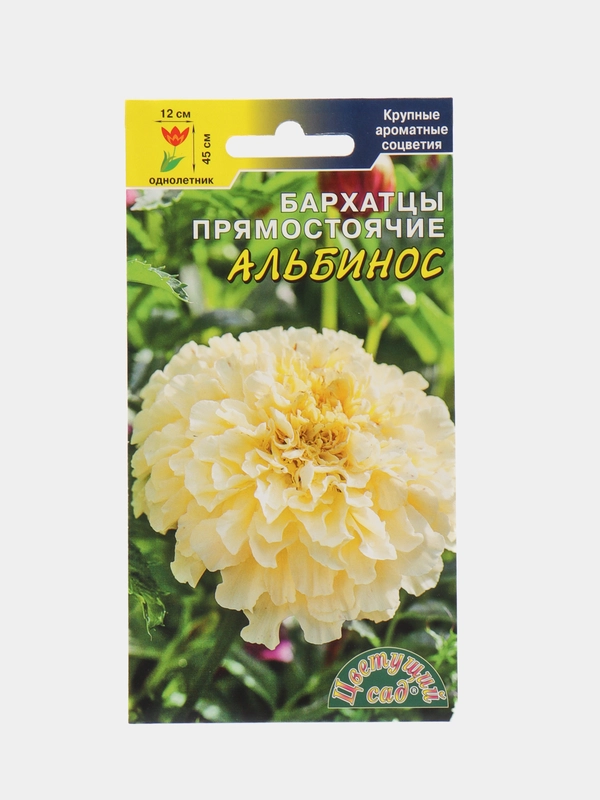 Бархатцы Альбинос белые,крупные,махр (семена,цветы)