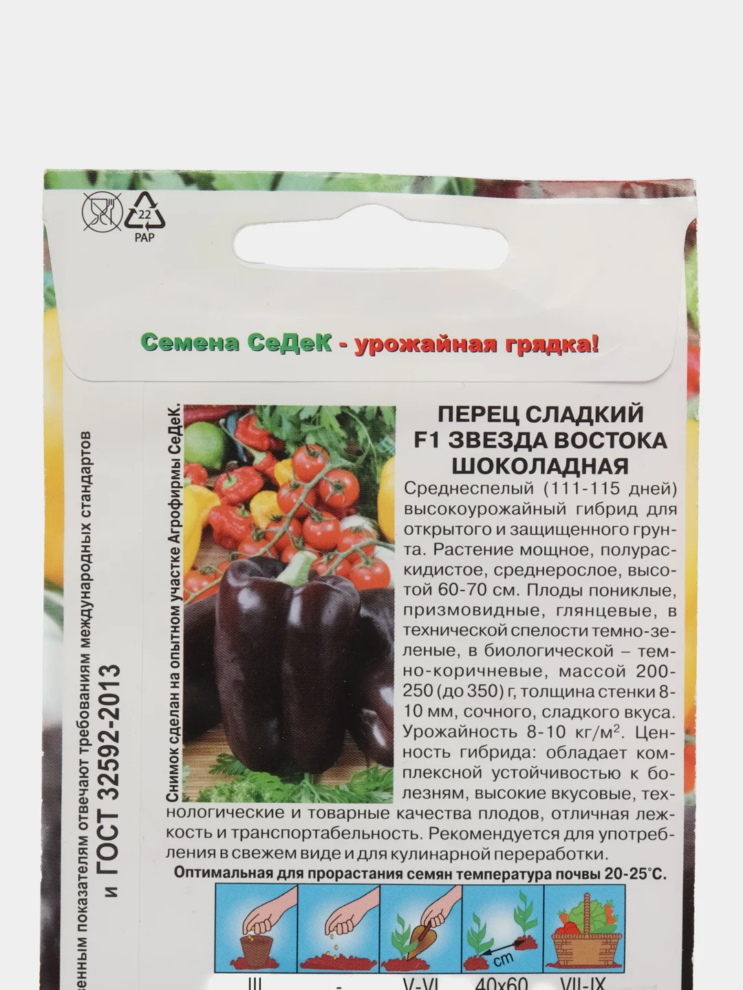 Звезда востока шоколадная перец сладкий Седек