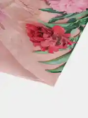 Алый пакеты подарочные большие 38*45, плотные