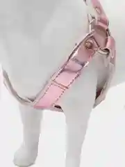 Розовый шлейка с поводком для собак и кошек