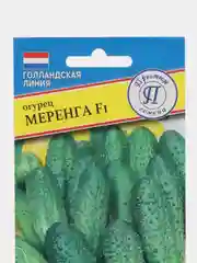 Огурец Меренга F1 5шт. Высокоурожайный, ранний (Голландия) (Престиж)