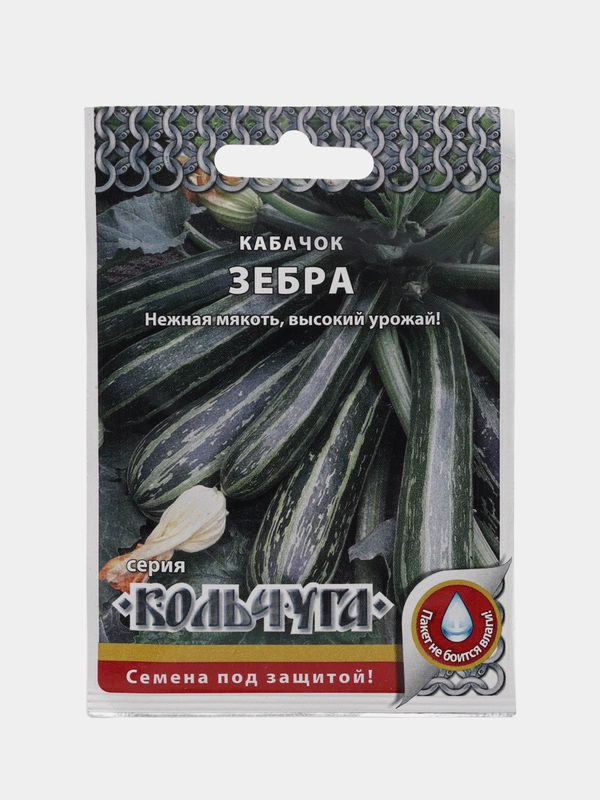 Семена Кабачок
