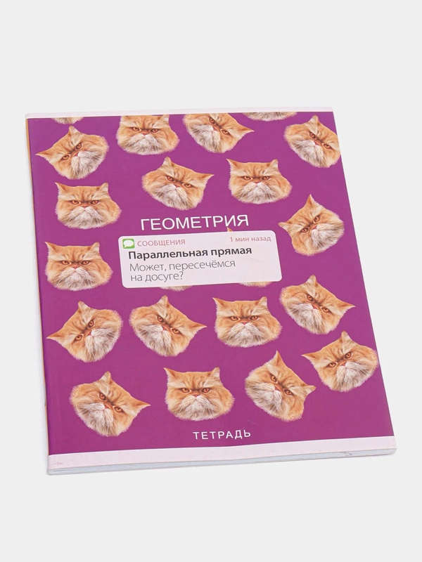 Предметная тетрадь, 48 л, "Уведомления" со справочными материалами, Геометрия