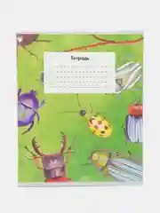 Тетрадь общая Жуки