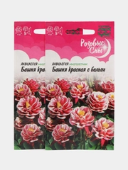 Семена аквилегия "Башня красная с белым", 0,05 г, Гавриш, розовые сны
