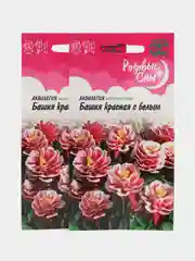 Семена аквилегия "Башня красная с белым", 0,05 г, Гавриш, розовые сны