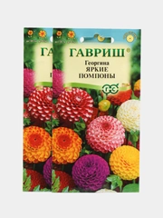 Семена Георгина "Яркие помпоны", смесь, 0,2 г, Гавриш, цветочная коллекция