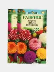 Семена Георгина "Яркие помпоны", смесь, 0,2 г, Гавриш, цветочная коллекция