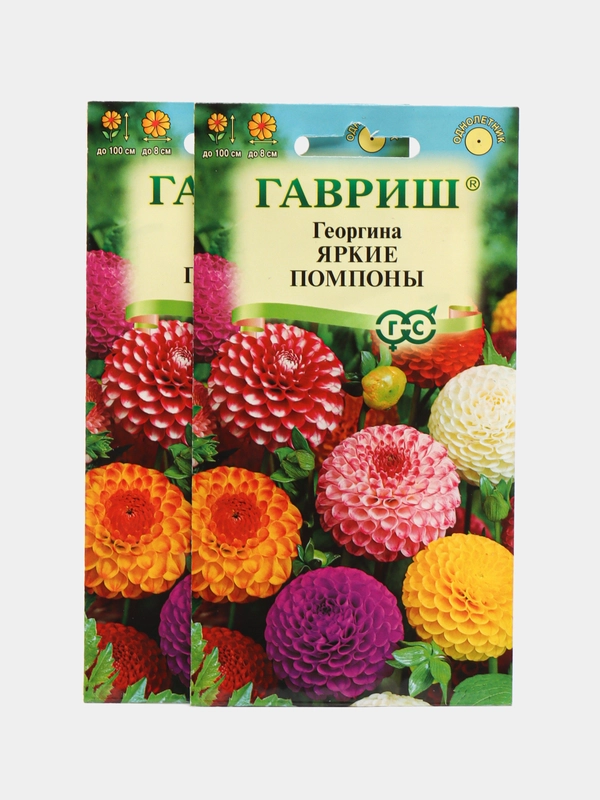 Семена Георгина "Яркие помпоны", смесь, 0,2 г, Гавриш, цветочная коллекция