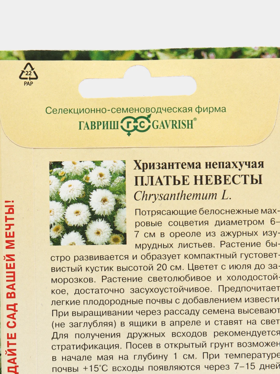 Семена хризантема "Платье невесты", 0,1 г, Гавриш, цветочная коллекция