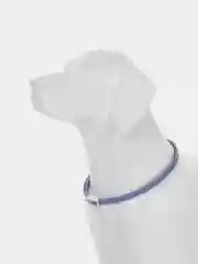 Оранжевый успокаивающий ошейник Muzzle для собак и кошек, 65 см