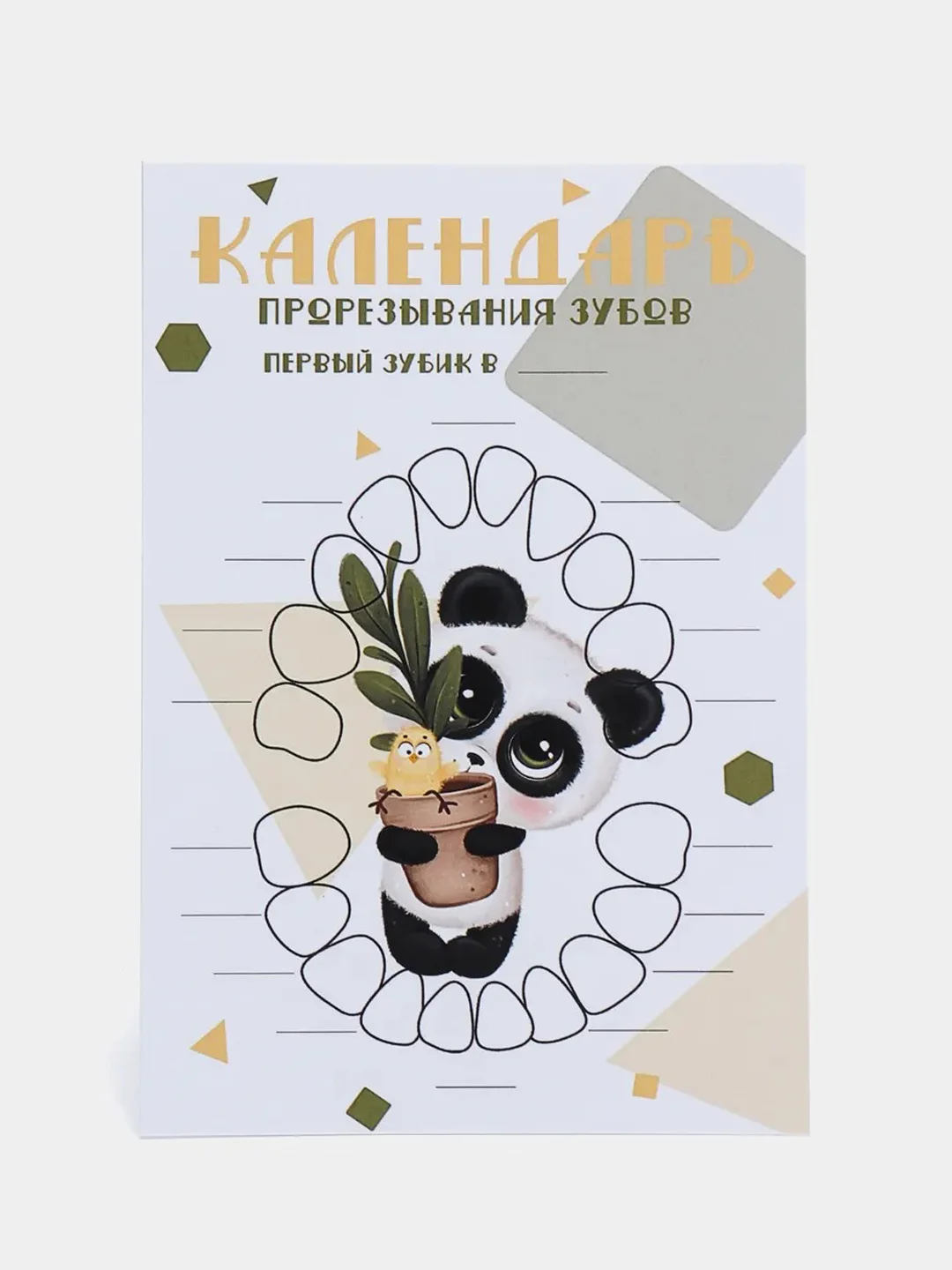 Мятный календарь прорезывания зубов