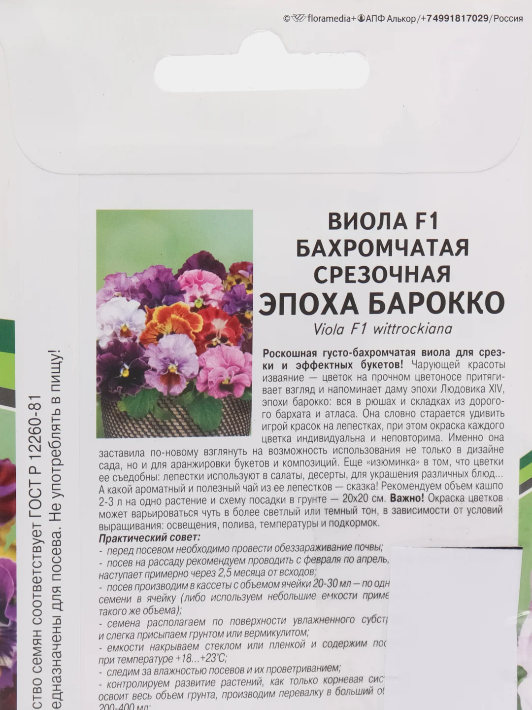 Эпоха барокко виола F1 бахромчатая срезочная