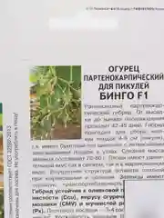 Бинго огурец партенокарпический для пикулей Партнёр