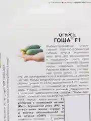 Гоша огурец Партнёр