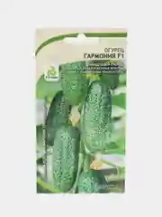 Гармония огурец Садовита