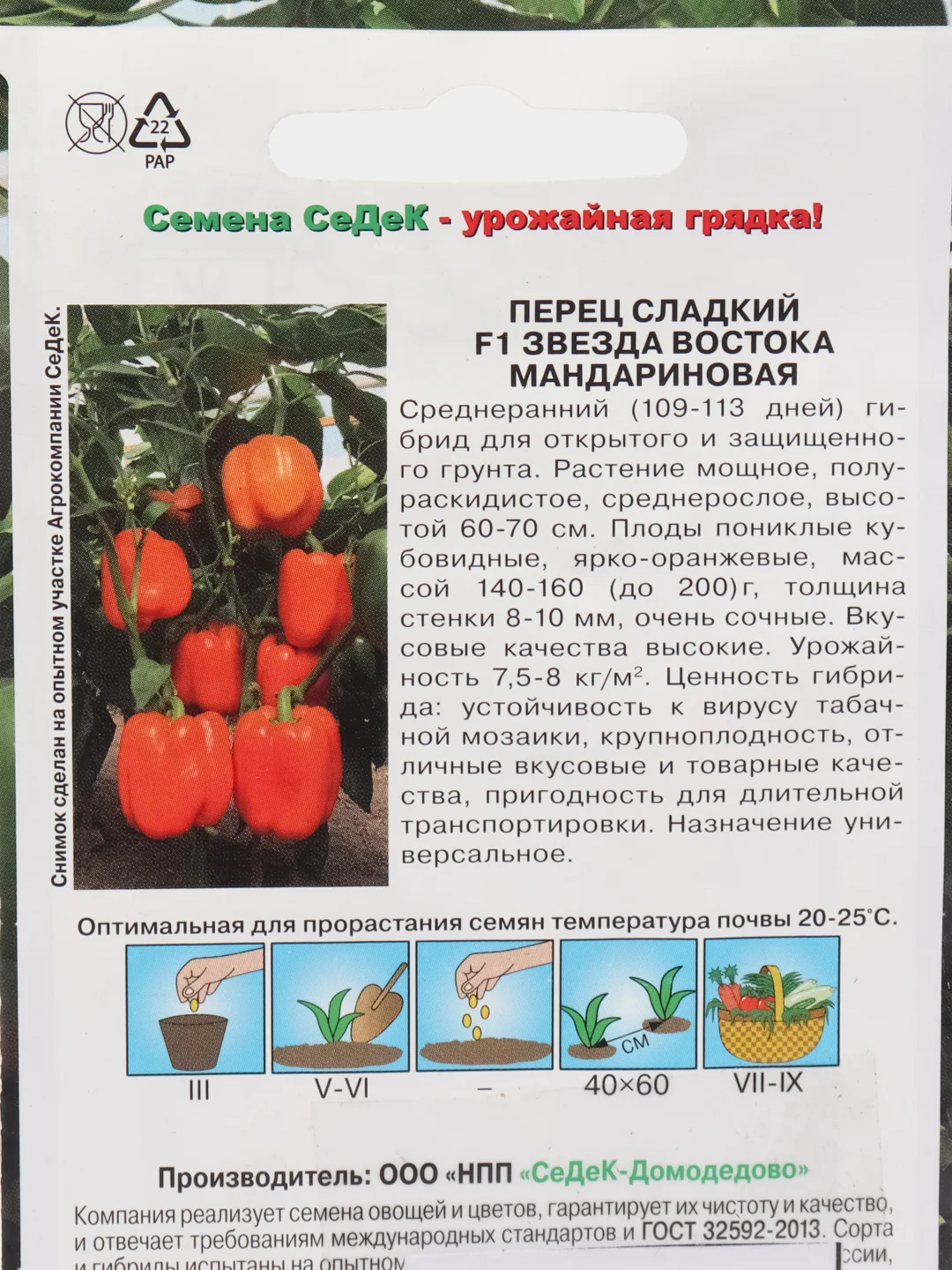 Звезда востока мандариновая перец сладкий Седек