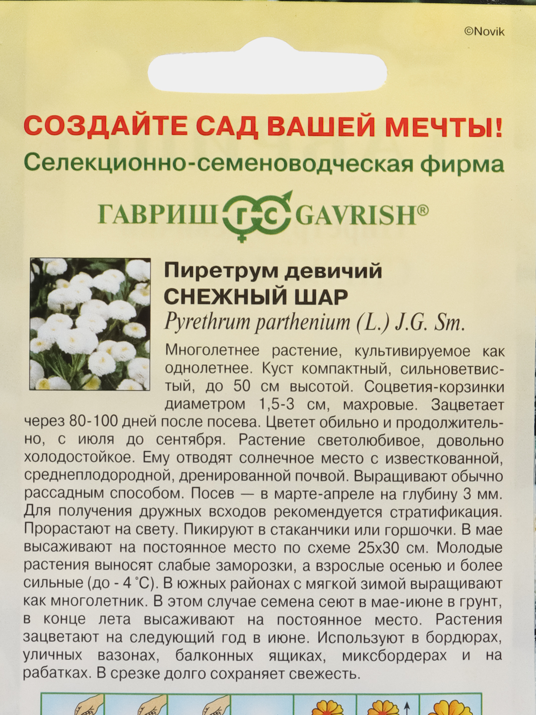 Семена Пиретрум девичий Снежный шар, 0,01 г, Гавриш, Цветочная коллекция  купить по цене 74.57 ₽ в интернет-магазине Магнит Маркет