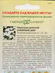 Семена Пиретрум девичий Снежный шар, 0,01 г, Гавриш, Цветочная коллекция