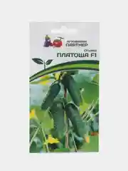 Платоша огурец Партнёр