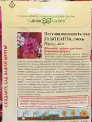 Петуния Бонанза F1 АЭлита