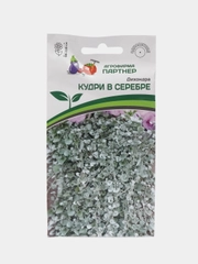 СЕМЕНА ДИХОНДРА СЕРЕБРИСТАЯ КУДРИ В СЕРЕБРЕ (4ШТ В АМП) Агрофирма Партнер