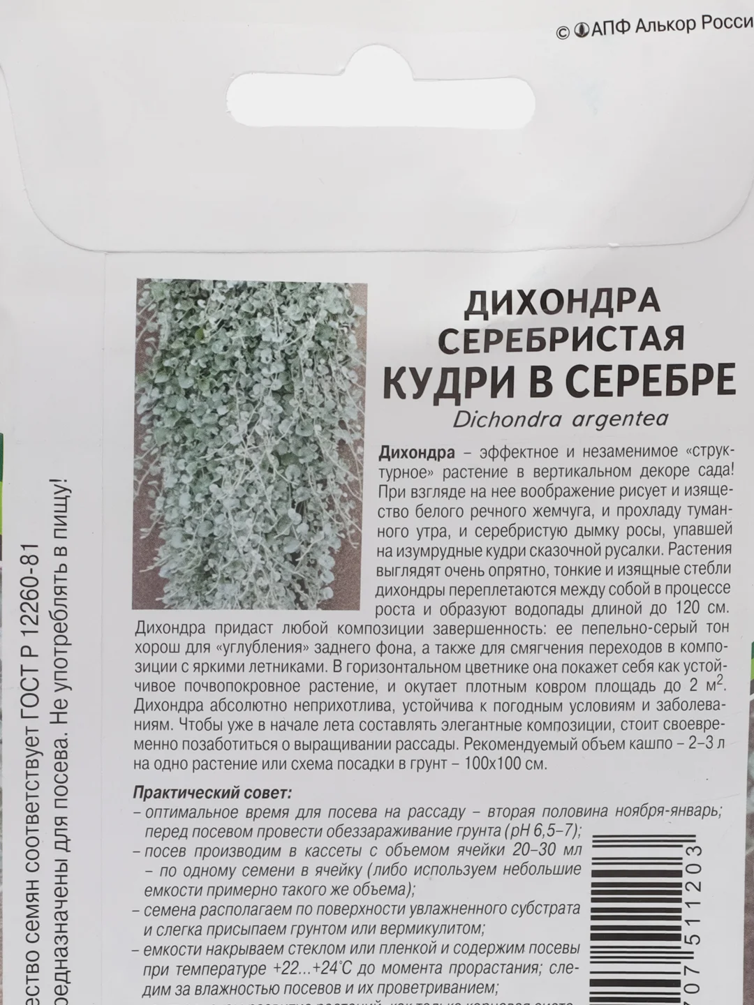СЕМЕНА ДИХОНДРА СЕРЕБРИСТАЯ КУДРИ В СЕРЕБРЕ (4ШТ В АМП) Агрофирма Партнер