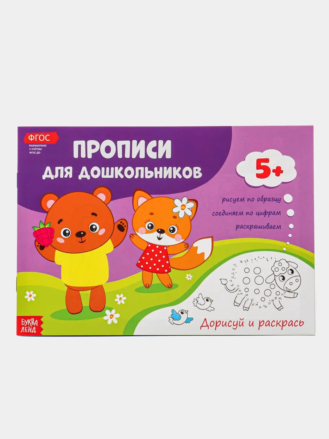 Аметистовый прописи для дошкольников , 16 стр