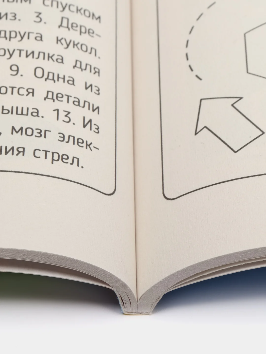 Разноцветный книга для детей. Кроссворды и головоломки 80 стр. 210х265 мм. Проф-Пресс