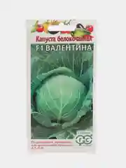 Капуста белокоч. Валентина F1 10 шт Гавриш