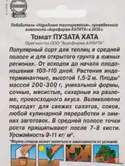 Томат Пузата хата АЭлита