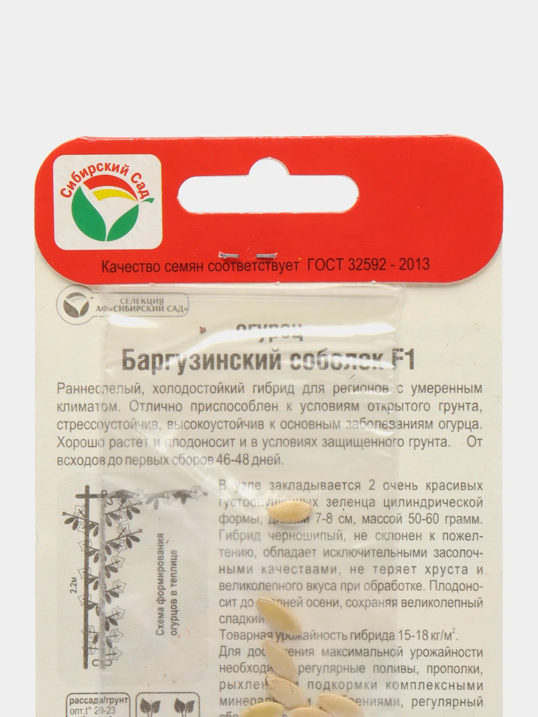 Баргузинский соболек огурец Сибирский сад